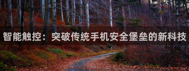 开丰娱乐登陆地址：智能触控：突破传统手机安全堡垒的新科技