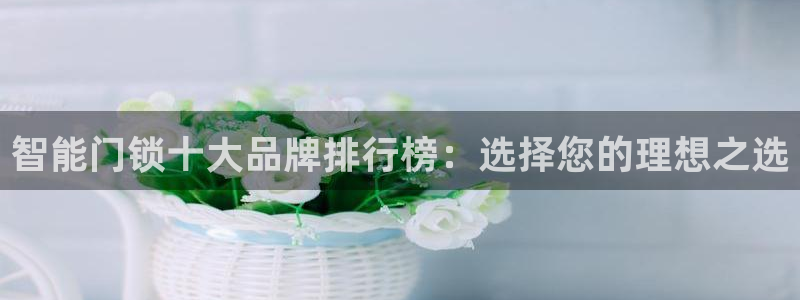 开丰娱乐日7O667：智能门锁十大品牌排行榜：选择您的理想之