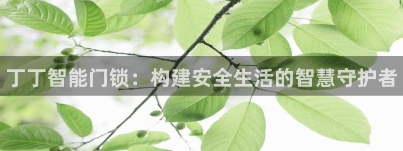 开丰娱乐网站：丁丁智能门锁：构建安全生活的智慧守护者
