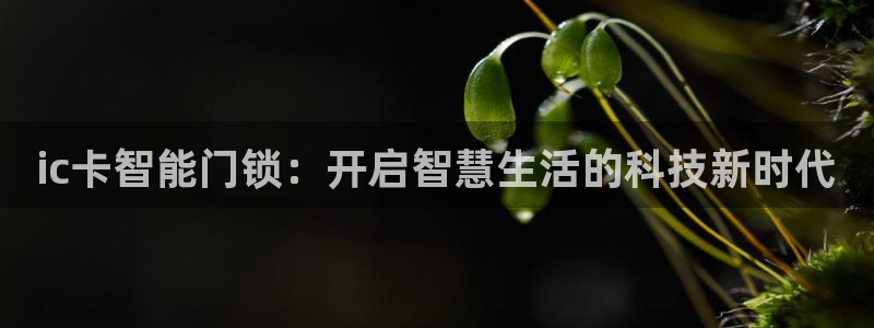 开丰娱乐左7O667：ic卡智能门锁：开启智慧生活的科技新时