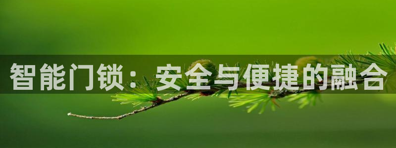 开丰娱乐注册自判官333OO：智能门锁：安全与便捷的融合