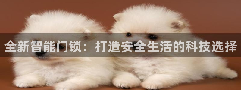 开丰娱乐网官网注册入口：全新智能门锁：打造安全生活的科技选择