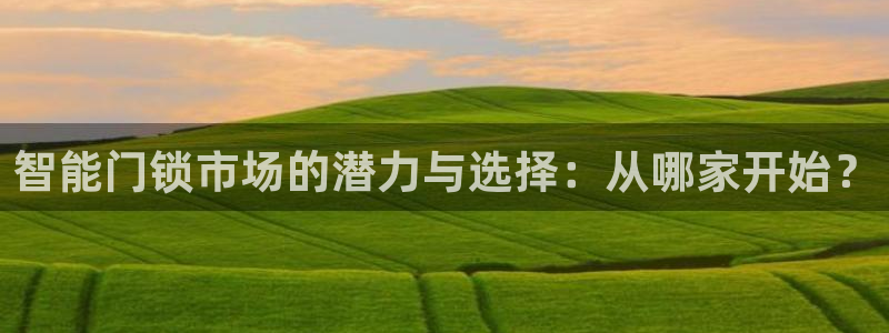 开丰娱乐登入地址在哪里：智能门锁市场的潜力与选择：从哪家开始