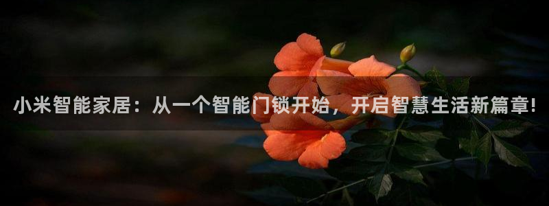 开丰娱乐左7O667：小米智能家居：从一个智能门锁开始，开启