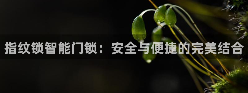 开丰娱乐注册登录：指纹锁智能门锁：安全与便捷的完美结合