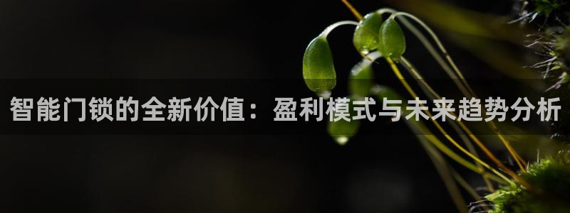 开丰娱乐注册系究耍333OO：智能门锁的全新价值：盈利模式与