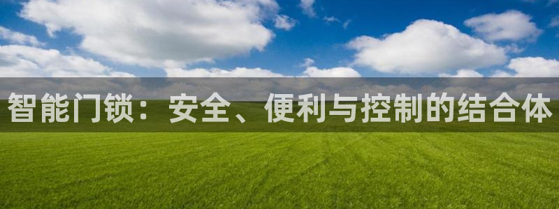 开丰娱乐测速：智能门锁：安全、便利与控制的结合体