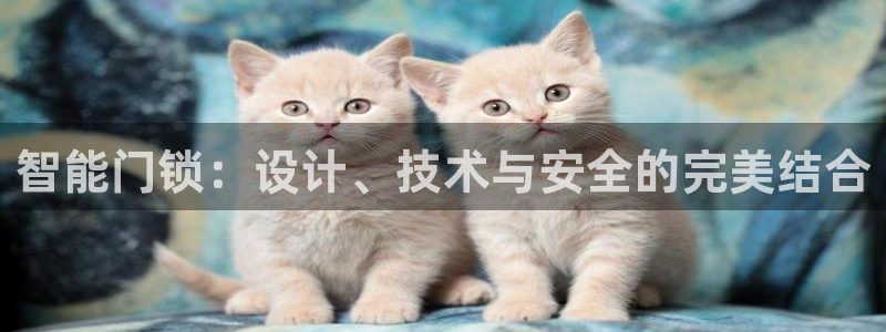 开丰娱乐山67五壹叁八：智能门锁：设计、技术与安全的完美结合