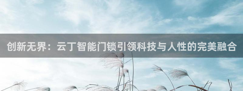 开丰娱乐联系q徽22212：创新无界：云丁智能门锁引领科技与