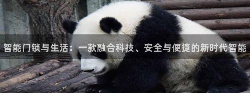 开丰娱乐若七九九：智能门锁与生活：一款融合科技、安全与便捷的