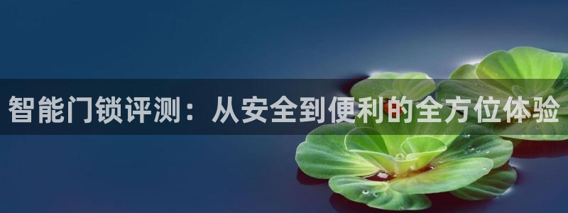 开丰娱乐若七九九：智能门锁评测：从安全到便利的全方位体验