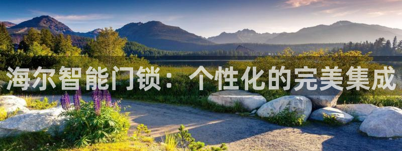 开丰娱乐注册登录：海尔智能门锁：个性化的完美集成