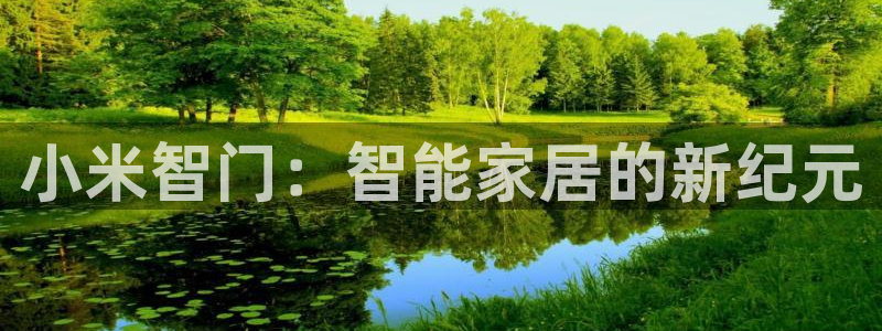 开丰娱乐趣 7O935：小米智门：智能家居的新纪元