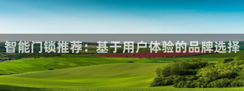 开丰娱乐咋7O777：智能门锁推荐：基于用户体验的品牌选择