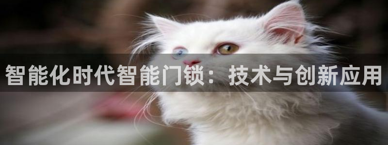 开丰娱乐行业恢复时间：智能化时代智能门锁：技术与创新应用
