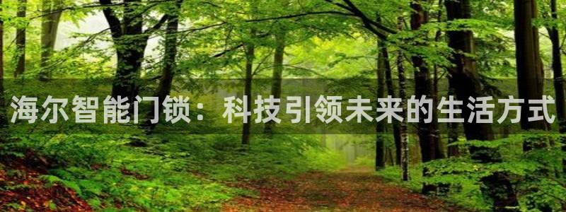 开丰娱乐官网最新消息：海尔智能门锁：科技引领未来的生活方式