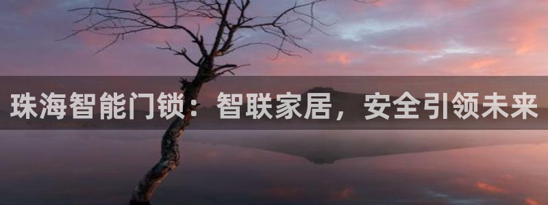 开丰娱乐登入地址查询：珠海智能门锁：智联家居，安全引领未来