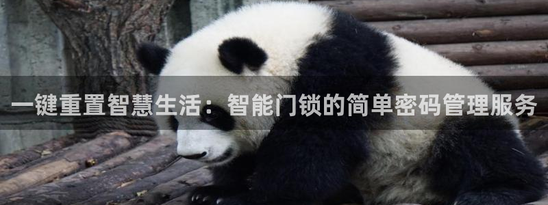 开丰娱乐下载安装：一键重置智慧生活：智能门锁的简单密码管理服