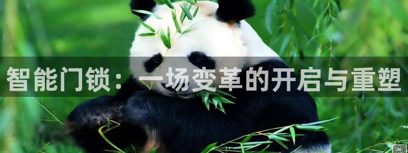 开丰娱乐寸67五壹叁八：智能门锁：一场变革的开启与重塑