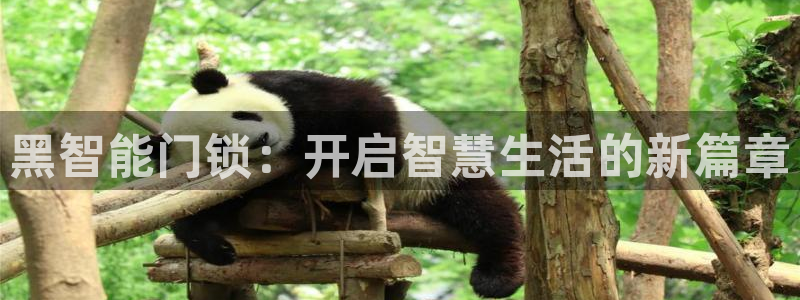 开丰娱乐平台提现失败：黑智能门锁：开启智慧生活的新篇章