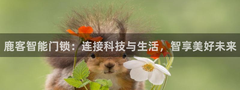 开丰娱乐下：鹿客智能门锁：连接科技与生活，智享美好未来