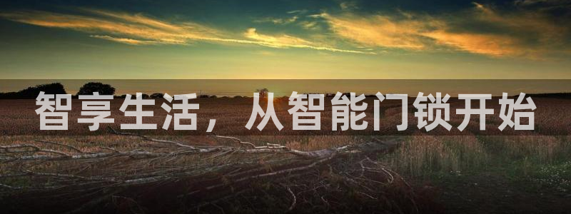 开丰娱乐主管家去判官333OO：智享生活，从智能门锁开始