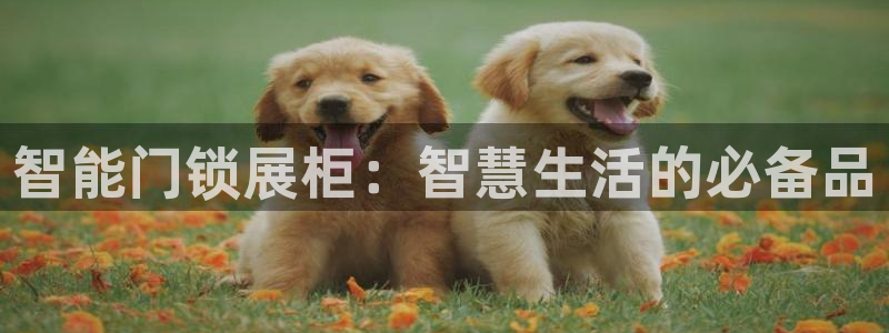 开丰娱乐登录注册：智能门锁展柜：智慧生活的必备品