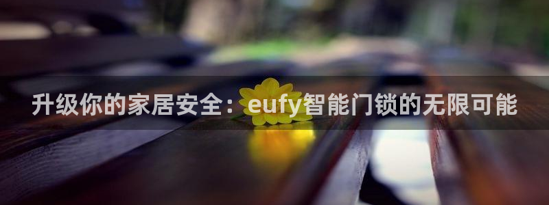开丰娱乐注册登录不了：升级你的家居安全：eufy智能门锁的无
