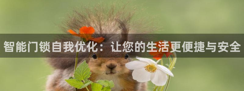 开丰娱乐不开了吗：智能门锁自我优化：让您的生活更便捷与安全