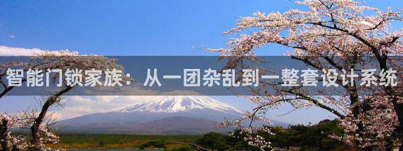开丰娱乐不开了吗：智能门锁家族：从一团杂乱到一整套设计系统