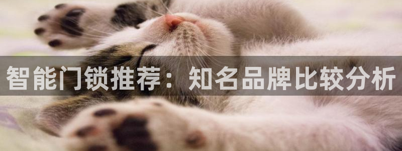 开丰娱乐登入地址是什么：智能门锁推荐：知名品牌比较分析