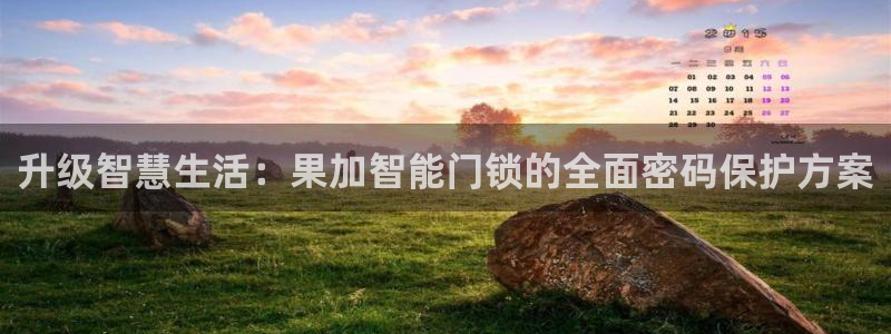 开丰娱乐趣 7O935：升级智慧生活：果加智能门锁的全面密码