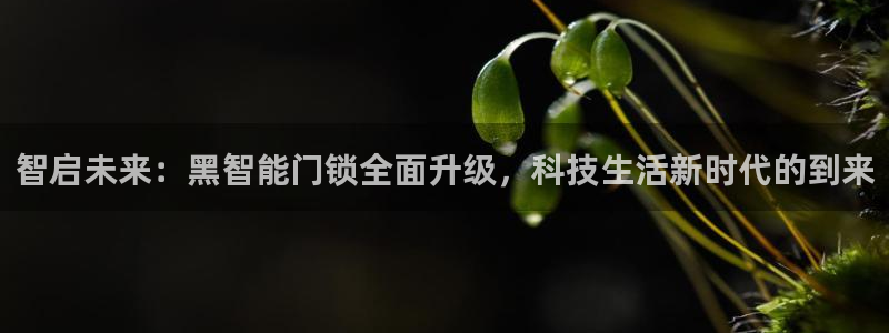 开丰娱乐登录官方网站：智启未来：黑智能门锁全面升级，科技生活