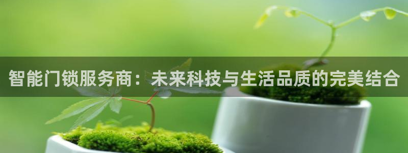 开丰娱乐登入地址：智能门锁服务商：未来科技与生活品质的完美结