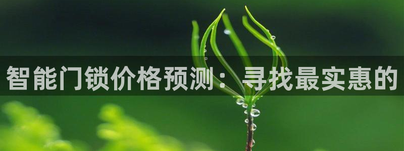 开丰娱乐平台地址查询：智能门锁价格预测：寻找最实惠的
