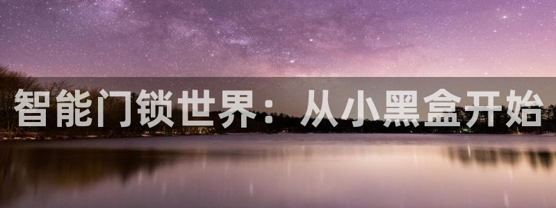 开丰娱乐官方app：智能门锁世界：从小黑盒开始