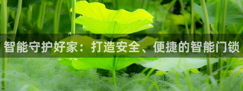 开丰娱乐寸67五壹叁八：智能守护好家：打造安全、便捷的智能门