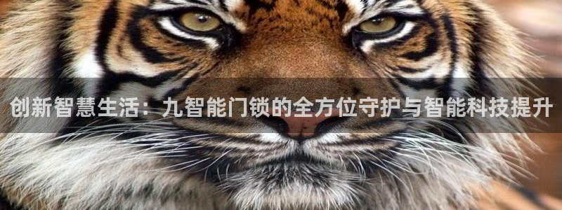 开丰娱乐登入地址在哪里：创新智慧生活：九智能门锁的全方位守护