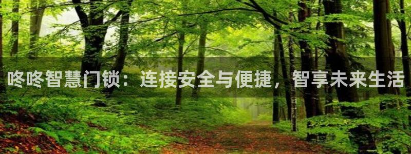 开丰娱乐平台登录网址：咚咚智慧门锁：连接安全与便捷，智享未来