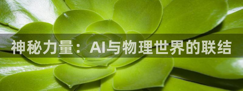 开丰娱乐更多平台：神秘力量：AI与物理世界的联结