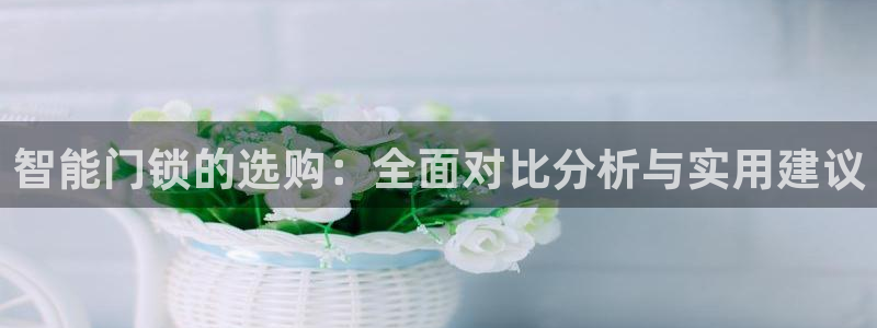 开丰娱乐乙833_43：智能门锁的选购：全面对比分析与实用建