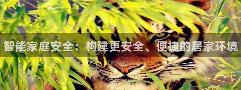 开丰娱乐平台地址电话：智能家庭安全：构建更安全、便捷的居家环