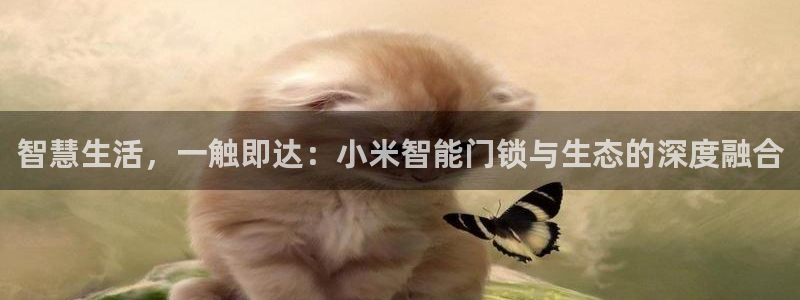 开丰娱乐会员中心：智慧生活，一触即达：小米智能门锁与生态的深