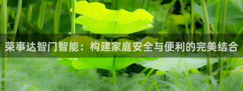 开丰娱乐下载安装：荣事达智门智能：构建家庭安全与便利的完美结