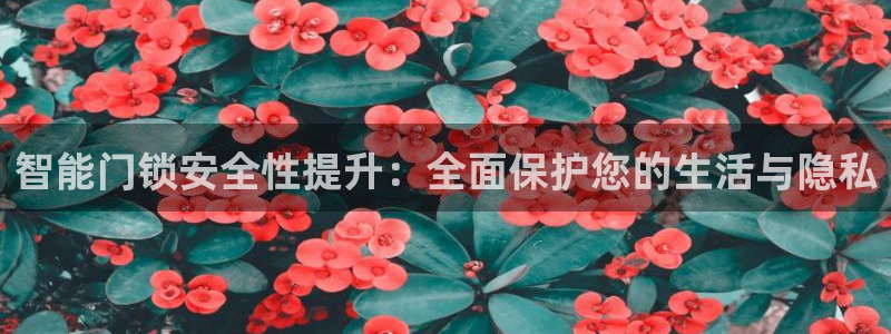 开丰娱乐万六七五一38：智能门锁安全性提升：全面保护您的生活