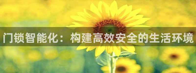 下载开丰娱乐：门锁智能化：构建高效安全的生活环境