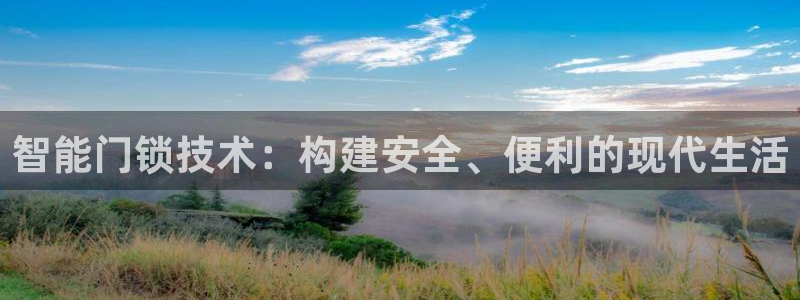 开丰娱乐乙833_43：智能门锁技术：构建安全、便利的现代生