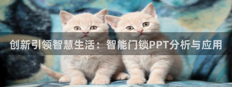 开丰娱乐官网登录平台：创新引领智慧生活：智能门锁PPT分析与