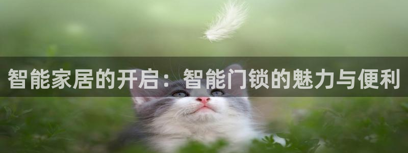 开丰娱乐上：智能家居的开启：智能门锁的魅力与便利