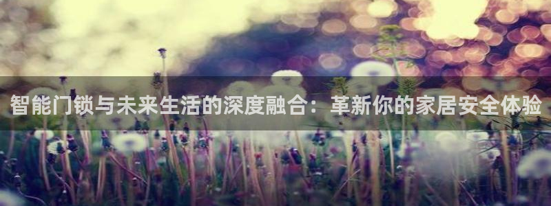 开丰娱乐与六七五一38：智能门锁与未来生活的深度融合：革新你